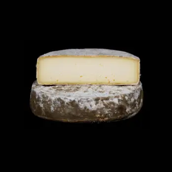 Tome de la Savoie Lait cru