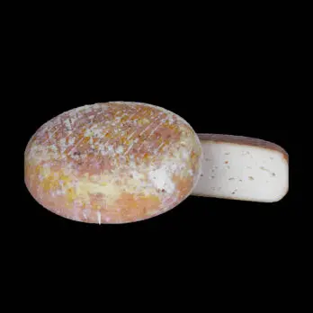 Accueil 28 Tome de chèvre Bethmale Pyrénées
