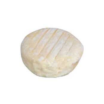 Saint Marcellin IGP au lait cru 80g