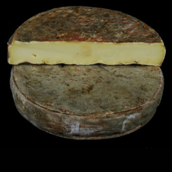 Accueil 28 Saint nectaire fermier AOP